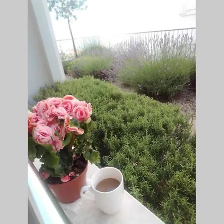 Apartament Sany With Pool -
